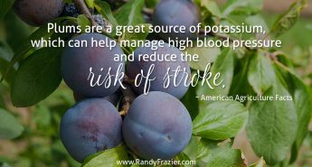 Ag Facts about Plums