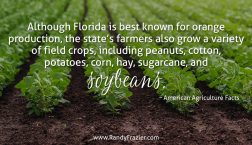 Ag Facts about Florida