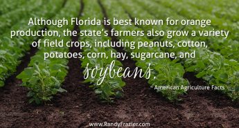 Ag Facts about Florida