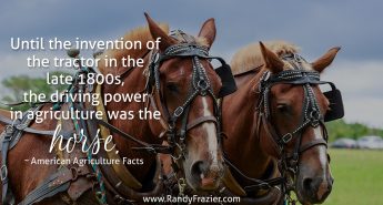Ag Facts about Horses