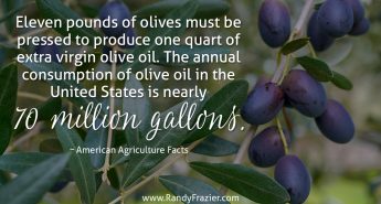 Ag Facts about Olives