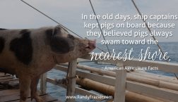 Ag Facts about Pigs