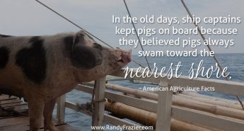 Ag Facts about Pigs