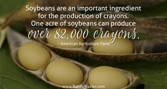 Ag Facts about Soy Beans