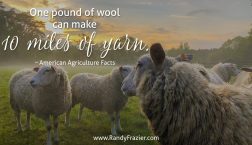 Ag Facts about Wool