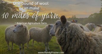 Ag Facts about Wool