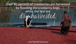 Ag Facts about Cranberries