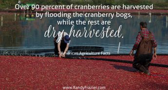 Ag Facts about Cranberries