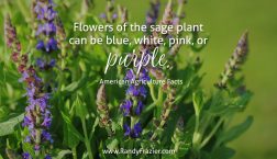 Ag Facts about Sage
