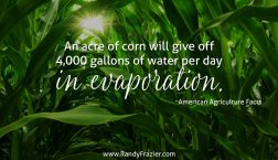 Ad Facts about Corn