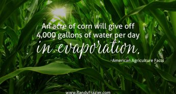 Ad Facts about Corn
