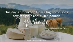 Ag Facts about Dairy Cows