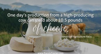 Ag Facts about Dairy Cows