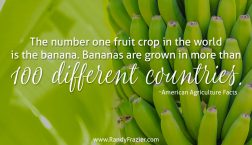 Ag Facts about Bananas