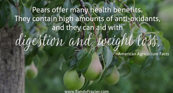 Ag Facts about Pears