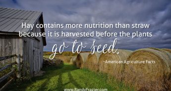 Ag Facts about Hay
