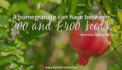 Ag Facts about Pomegranates