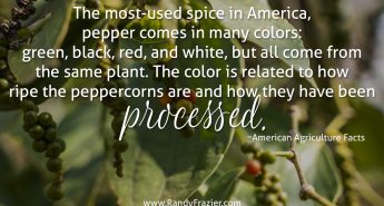Ag Facts about Black Pepper