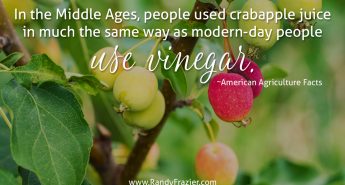 Ag Facts about Crabapples