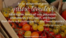 Ag Facts about Yellow Tomatoes