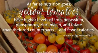 Ag Facts about Yellow Tomatoes