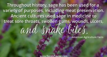 Ag Facts about Sage