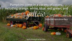 Ag Facts about Pumpkins