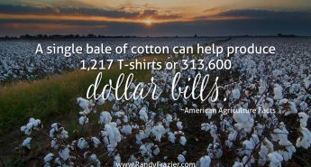 Ag Facts about Cotton