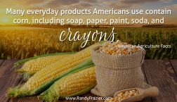 Ag Facts about Corn