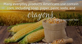Ag Facts about Corn