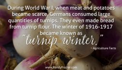 Ag Facts about Turnips