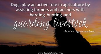 Ag Facts about Dogs