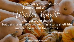 Ag Facts about Winter Squash