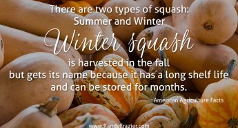 Ag Facts about Winter Squash