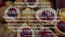 Ag Facts about Nutmeg