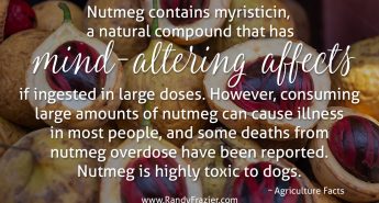 Ag Facts about Nutmeg