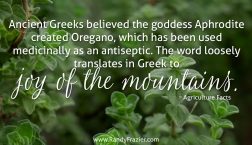 Ag Facts about Oregano