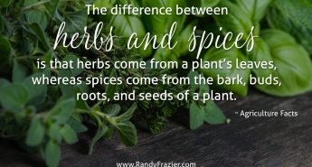 Ag Facts about Herbs and Spices