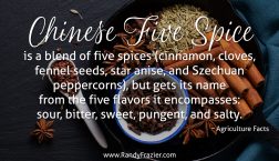 Facts about Chinese Five Spice Blend