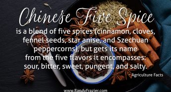 Facts about Chinese Five Spice Blend