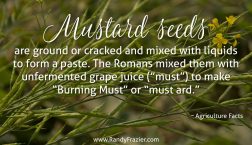Ag Facts about Mustard