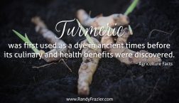 Ag Facts about Turmeric