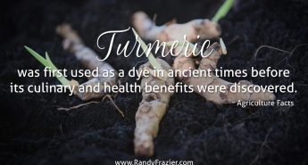 Ag Facts about Turmeric