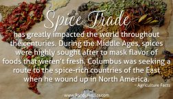 Ag Facts about the Spice Trade