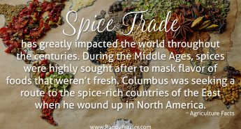 Ag Facts about the Spice Trade