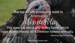 Ag Facts about Turkeys