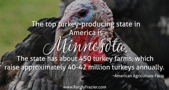 Ag Facts about Turkeys