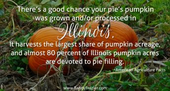 Ag Facts about Pumpkins