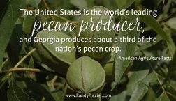 Ag Facts about Pecans
