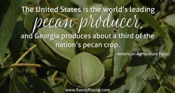 Ag Facts about Pecans